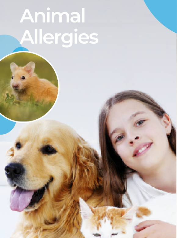 Allergie agli animali